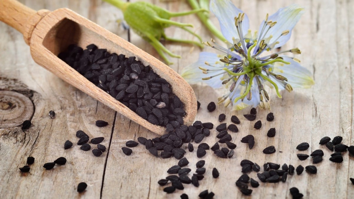 Graines et fleur de nigelle avec une cuillère en bois
